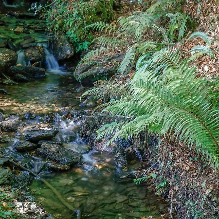 Running Waters